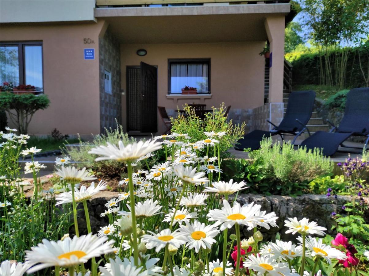 Apartment Stipcic-Mreznicki Brig دوغا غيسا المظهر الخارجي الصورة